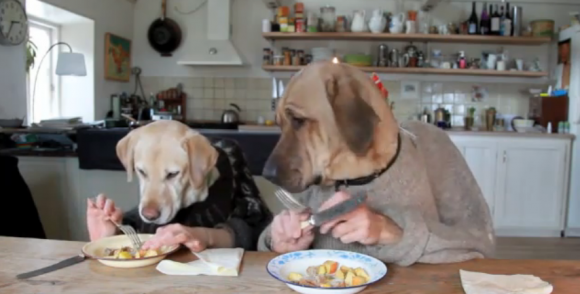 2dogs-dinning.png