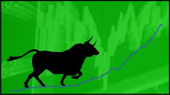 Bull-Stock.jpg