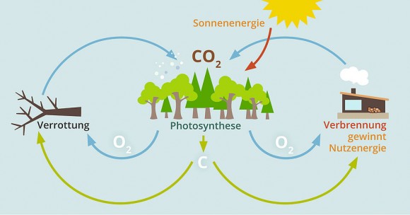 csm_CO2-kreislauf_a9ac26deda.jpg