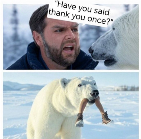 t_y.jpg