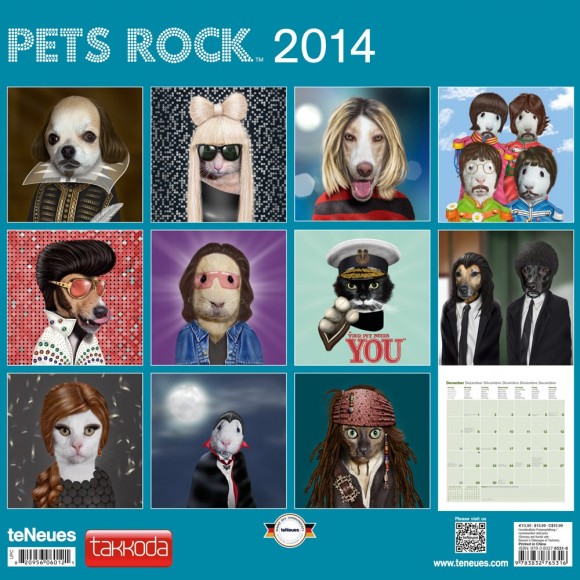 Pets_Rock_Takkoda.jpg