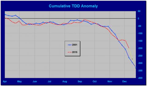 TDD-01-15.jpg