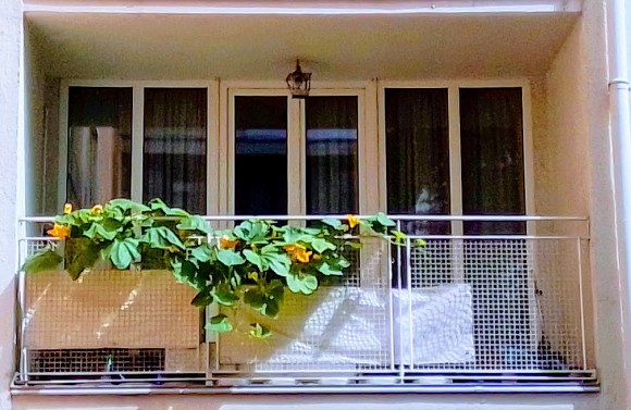 Balkon-4.jpg