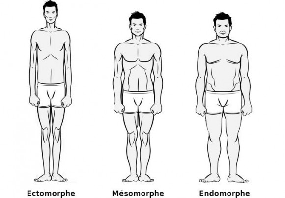 Somatotype-fr.jpg